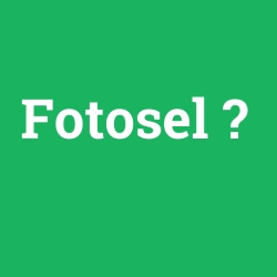 Fotosel foto galeri