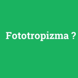 Fototropizma foto galeri