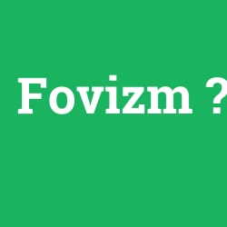 Fovizm