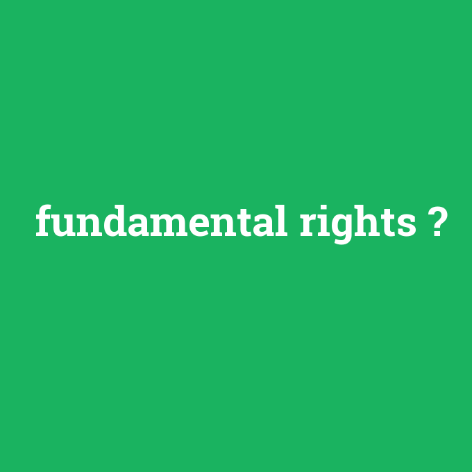 fundamental rights, fundamental rights nedir ,fundamental rights ne demek