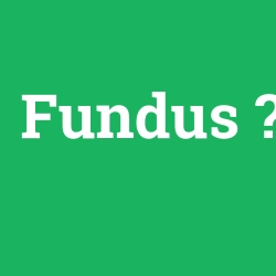 Fundus