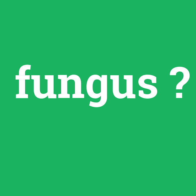 fungus, fungus nedir ,fungus ne demek