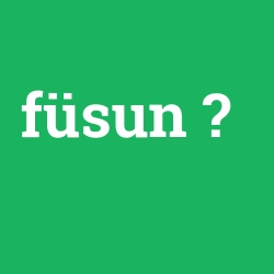 füsun