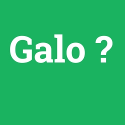 Galo