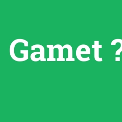 Gamet foto galeri