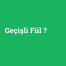 Geçişli Fiil
