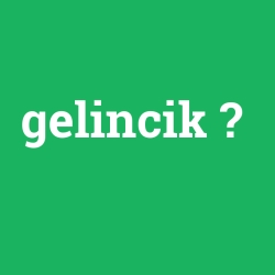 gelincik