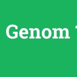Genom foto galeri