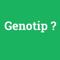 Genotip
