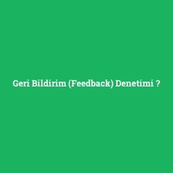 Geri Bildirim (Feedback) Denetimi