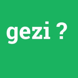 gezi
