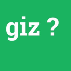 giz