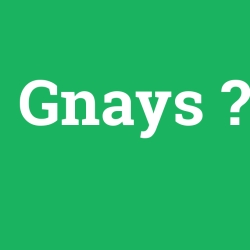 Gnays