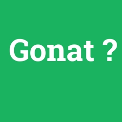 Gonat foto galeri