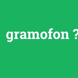 gramofon