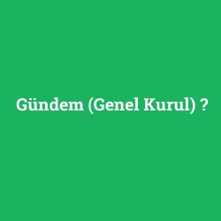 Gündem (Genel Kurul)
