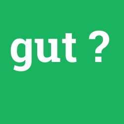 gut