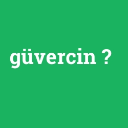 güvercin
