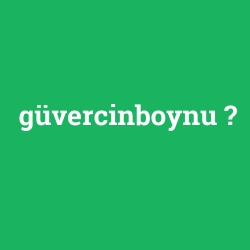 güvercinboynu foto galeri