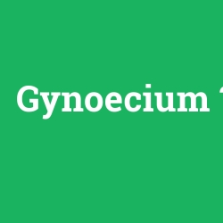Gynoecium