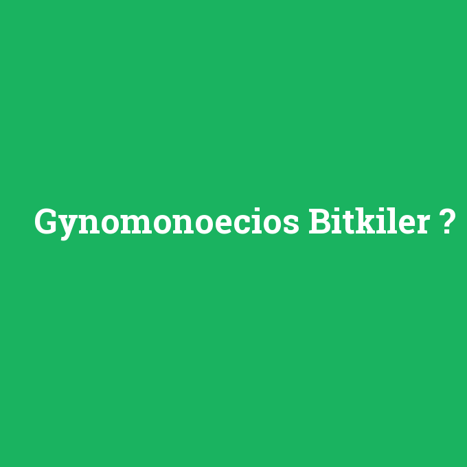 Gynomonoecios Bitkiler, Gynomonoecios Bitkiler nedir ,Gynomonoecios Bitkiler ne demek