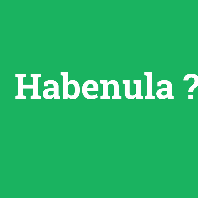 Habenula, Habenula nedir ,Habenula ne demek