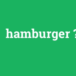 hamburger