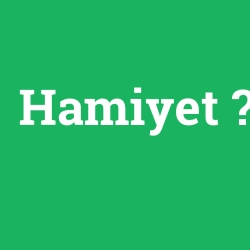 Hamiyet