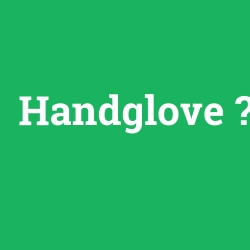 Handglove