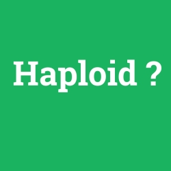Haploid foto galeri