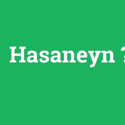 Hasaneyn