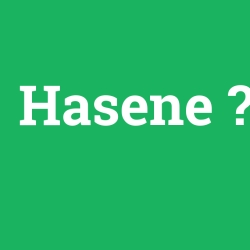 Hasene foto galeri