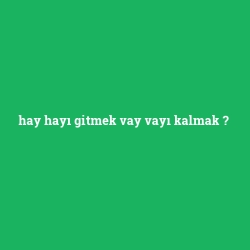 hay hayı gitmek vay vayı kalmak