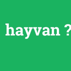hayvan