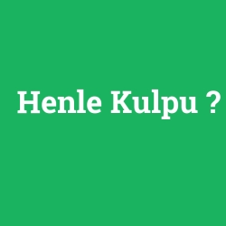 Henle Kulpu