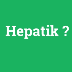 Hepatik foto galeri
