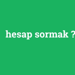 hesap sormak