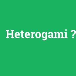 Heterogami