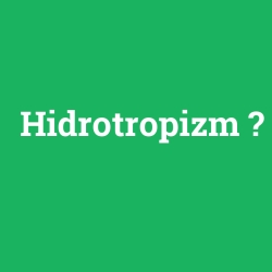 Hidrotropizm