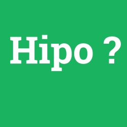 Hipo foto galeri