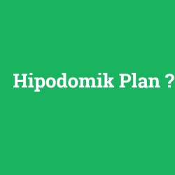 Hipodomik Plan