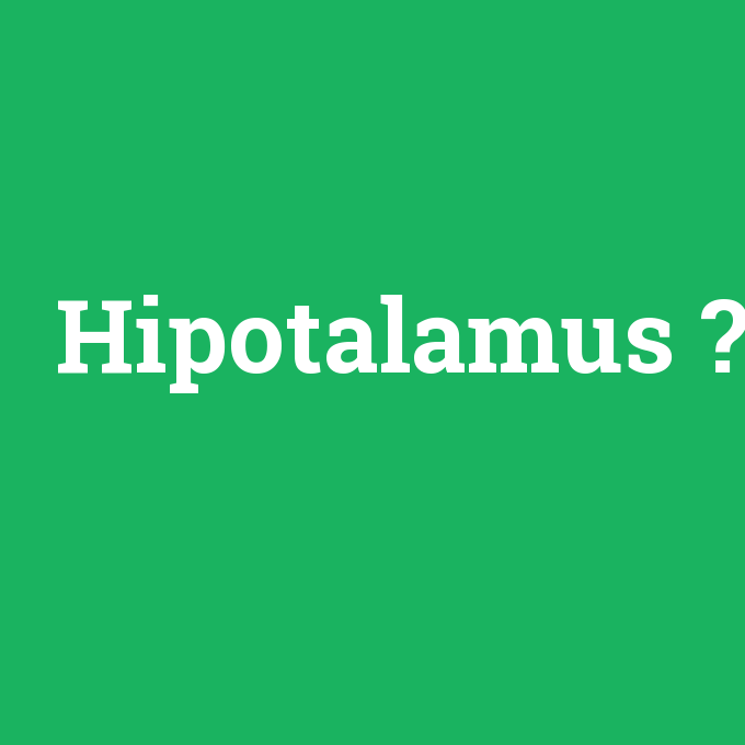 Hipotalamus, Hipotalamus nedir ,Hipotalamus ne demek