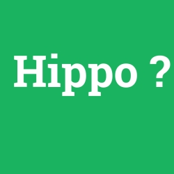 Hippo