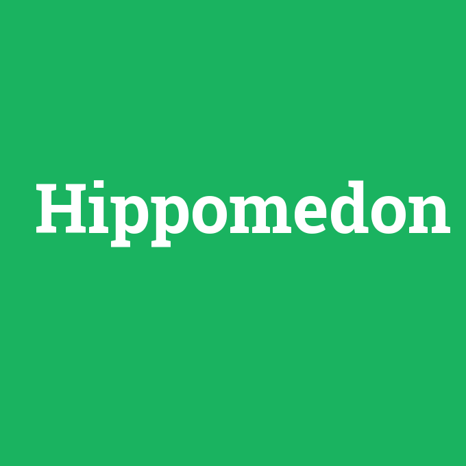 Hippomedon, Hippomedon nedir ,Hippomedon ne demek