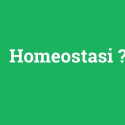 Homeostasi