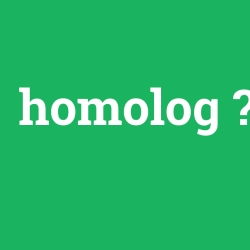 homolog