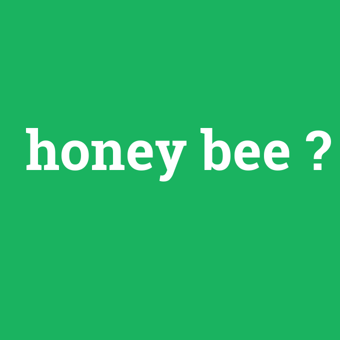 honey bee, honey bee nedir ,honey bee ne demek