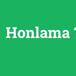 Honlama