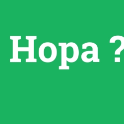 Hopa