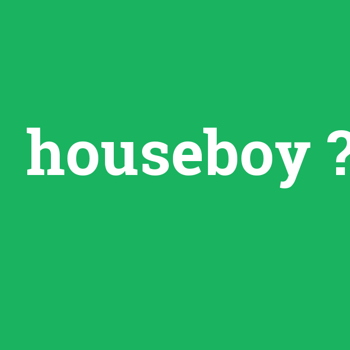 houseboy, houseboy nedir ,houseboy ne demek